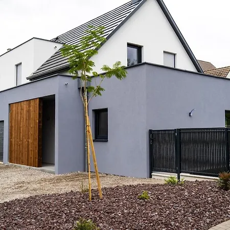 A Stone's Throw From Strasbourg-maison Villa *