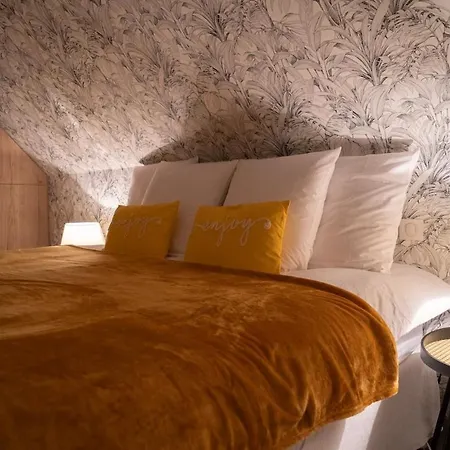 A Stone's Throw From Strasbourg-maison Villa *